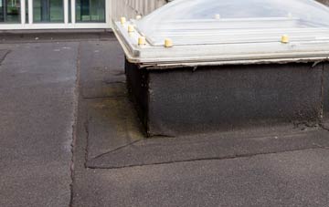 disadvantages of Lepton Edge flat roofs