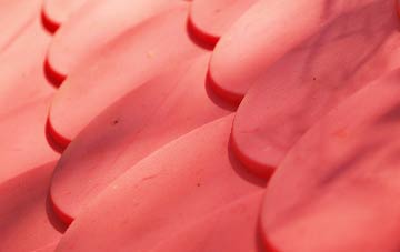 Lepton Edge plastic roof costs