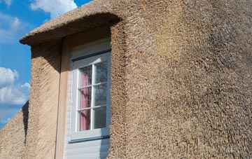 Lepton Edge thatch roof disadvantages