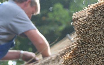 professional Lepton Edge thatchers