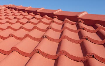 Lepton Edge tile and slate roof replacement